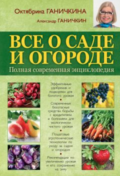 М. Еремушкин - Массаж от классики до экзотики. Полная энциклопедия систем, видов, техник, методик