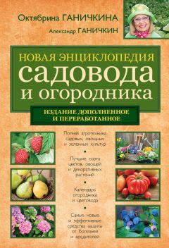 Александр Калинин - Дачный участок со всеми удобствами