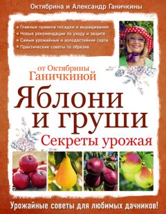 Виктор Жвакин - Плодовые кусты вашего сада