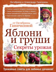 Александр Ганичкин - Все о томатах и огурцах от Октябрины Ганичкиной