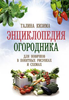 Галина Серикова - Всё о семенах овощных культур