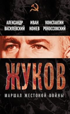Борис Соколов - Неизвестный Жуков: портрет без ретуши в зеркале эпохи
