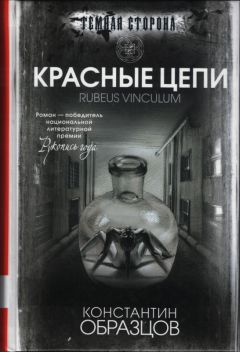 Игорь Афонский - Les visiteurs-3. Пришельцы в Астане