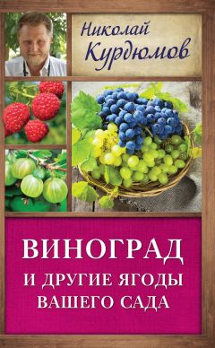 Анна Кузнецова - Домашний виноградник