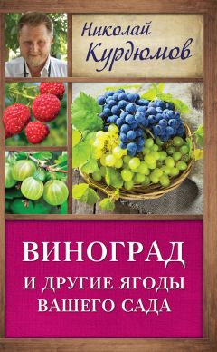 Екатерина Животовская - Виноградник на вашем участке