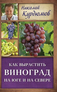 Николай Курдюмов - 300 советов по саду и огороду для продвинутых дачников