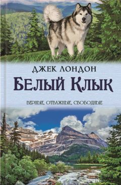 Александр Богданов - Смерти нет