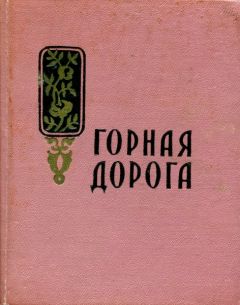 Алексей Рай - Долгая дорога домой. Стихи