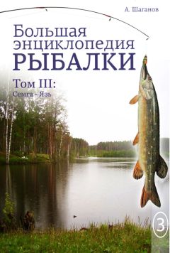 Надежда Бондаренко - Кулинарная энциклопедия. Том 11. К (Капиротада – Кашкавал)