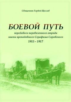 Михаил Шкаровский - Крест и свастика. Нацистская Германия и Православная Церковь