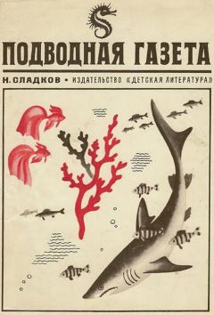 Михаил Ильин - Воспоминания и необыкновенные путешествия Захара Загадкина