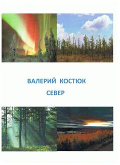 Валерий Костюк - Север (СИ)