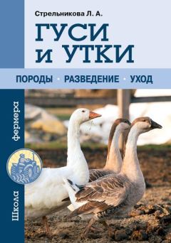 Юрий Харчук - Мед и продукты пчеловодства