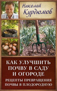 Николай Курдюмов - Огородные секреты большого урожая на ваших грядках