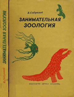 Николай Плавильщиков - Занимательная энтимология