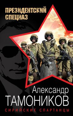 Александр Тамоников - Штурмовая Бригада