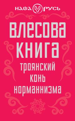 Виталий Новиков - Новгородское государство