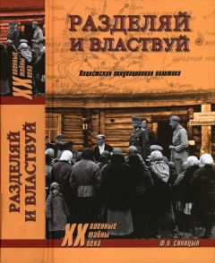 Федор Синицын - Разделяй и властвуй. Нацистская оккупационная политика