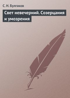 Илья Светозаров - Новая религия