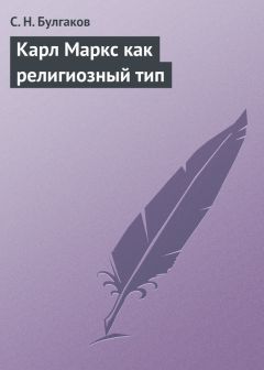 Сергей Булгаков - Природа в философии Вл. Соловьева