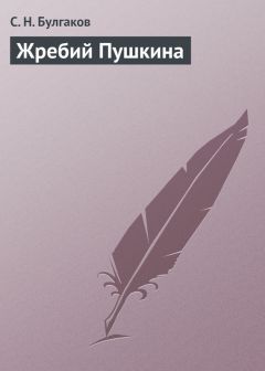 Сергей Булгаков - Иван Карамазов как философский тип