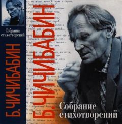 Павел Нерлер - Александр Цыбулевский. Поэтика доподлинности