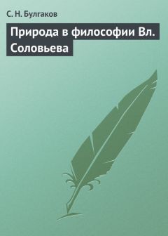 Сергей Булгаков - Природа в философии Вл. Соловьева