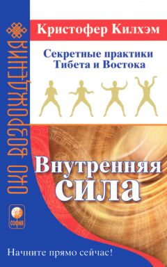 Михаил Роттер - Ци-Гун: некоторые методы, или Варенье из «Красного цветка»