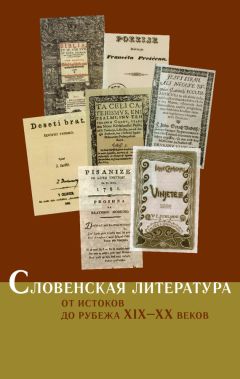 Валерий Рабинович - История зарубежной литературы XIX века: Романтизм