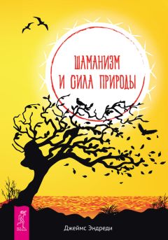 Свагито Либермайстер - Источник любви. Теория и практика «семейных расстановок»