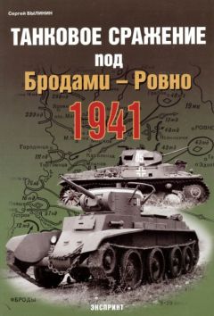 Гордей Щеглов - История и чудеса Васьковской иконы Божией Матери