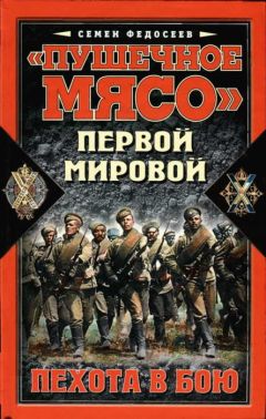 Вальтер Неринг - Немецкие бронетанковые войска. Развитие военной техники и история боевых операций. 1916–1945