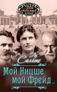 Р. Холлингдейл - Фридрих Ницше. Трагедия неприкаянной души