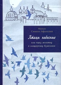 Николай Чайковский - Плод Духа – любовь. Серия книг «Плод Духа»