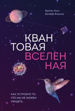 Кристиан Дэвенпорт - Космические бароны. Илон Маск, Джефф Безос, Ричард Брэнсон, Пол Аллен. Крестовый поход во имя колонизации космоса