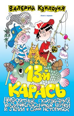 Валерий Квилория - В погоне за «Бешеной Каракатицей»