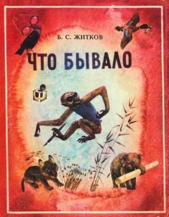 Борис Никольский - Что умеют танкисты