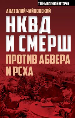 Александр Звягинцев - Нюрнберг. Главный процесс человечества