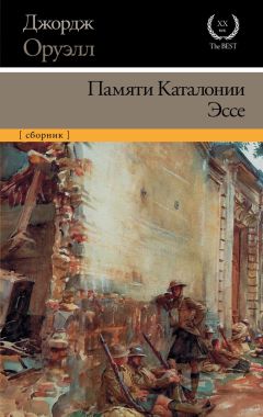 Владимир Полудняков - Эссе председателя городского суда Санкт-Петербурга