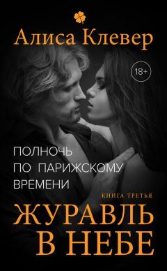 Алиса Клевер - Закрытая книга