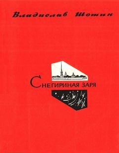 Михаил Огарев - Вечеринка на веранде («Горечь»). Роман-маска в стихах