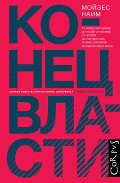 Бет Симон Новек - Умные граждане – умное государство