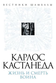 Борис Булгаков - Карлос Кастанеда. Жизнь и смерть Воина