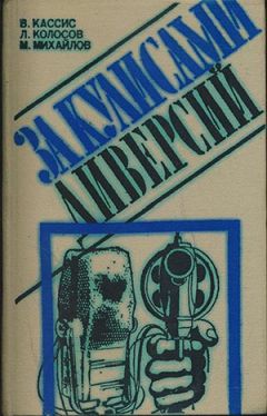  Копенгагенский институт исследований будущего - Анархономика