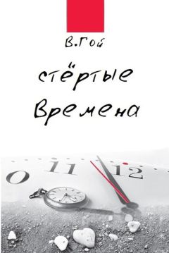 Владимир Гой - Стертые времена