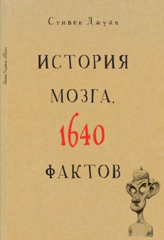 Борис Сергеев - Парадоксы мозга