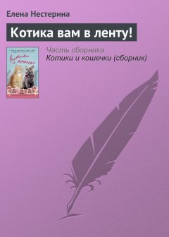 Елена Нестерина - Котика вам в ленту!