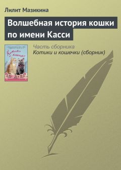 Лилит Мазикина - Волшебная история кошки по имени Касси