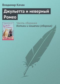 Дмитрий Емец - Кото-фантастические истории