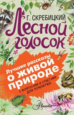 Чарлз Робертс - Лесной бродяга (рассказы и повести)